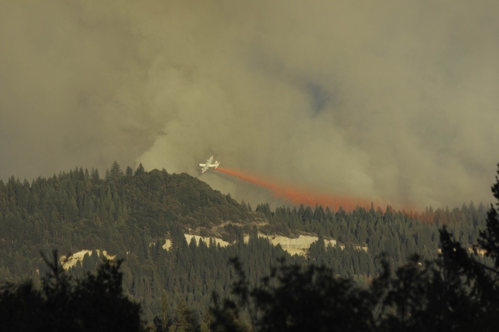 C130 USFS (Terry Roach)