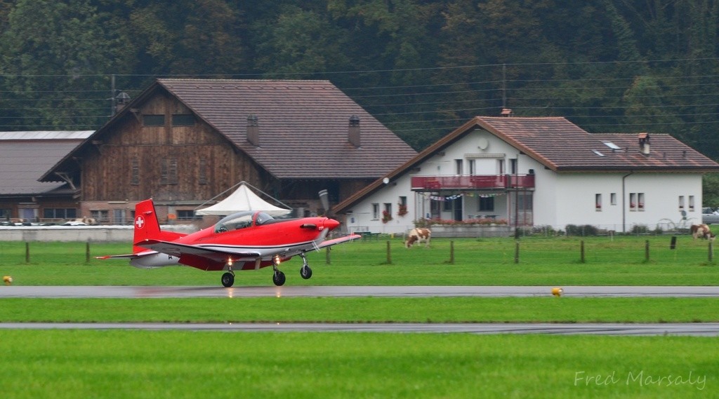 Axalp Meiringen PC-7 vaches