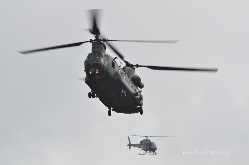 Chinook 1